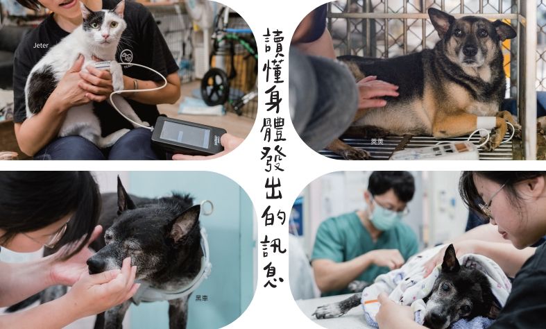 犬山居2027公益桌曆+掛曆(預購中)