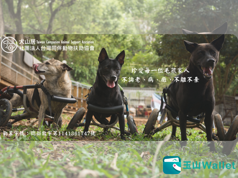 📢 玉山 Wallet 捐款通道已上架！